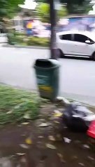 Abandono y basuras cerca del puente de la 4 sur