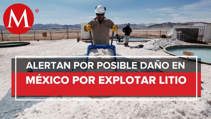 ONG alerta daños al ambiente por explotación de litio ante violación de normas