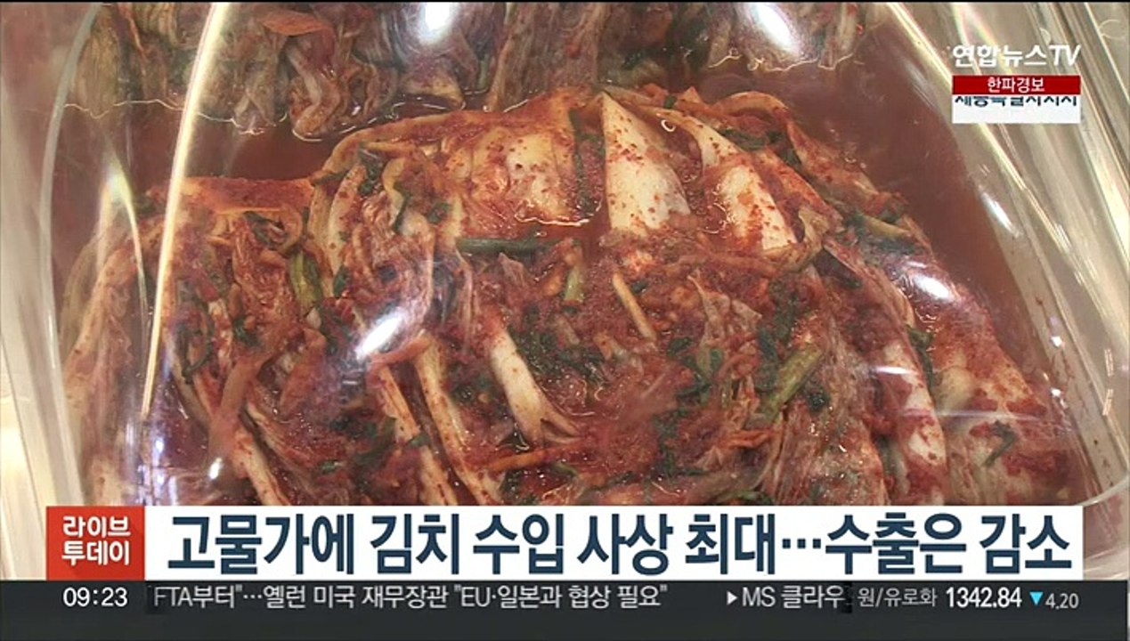 고물가에 김치 수입 사상 최대…수출은 감소