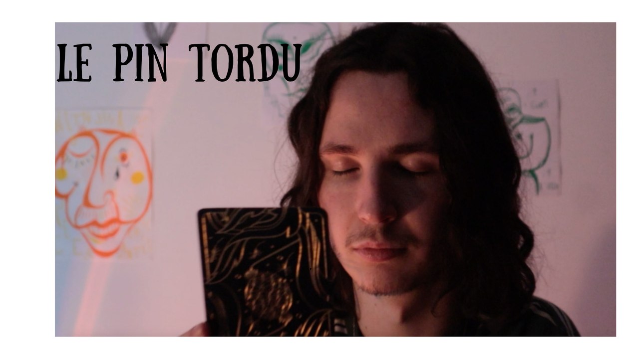 Le pin Tordu