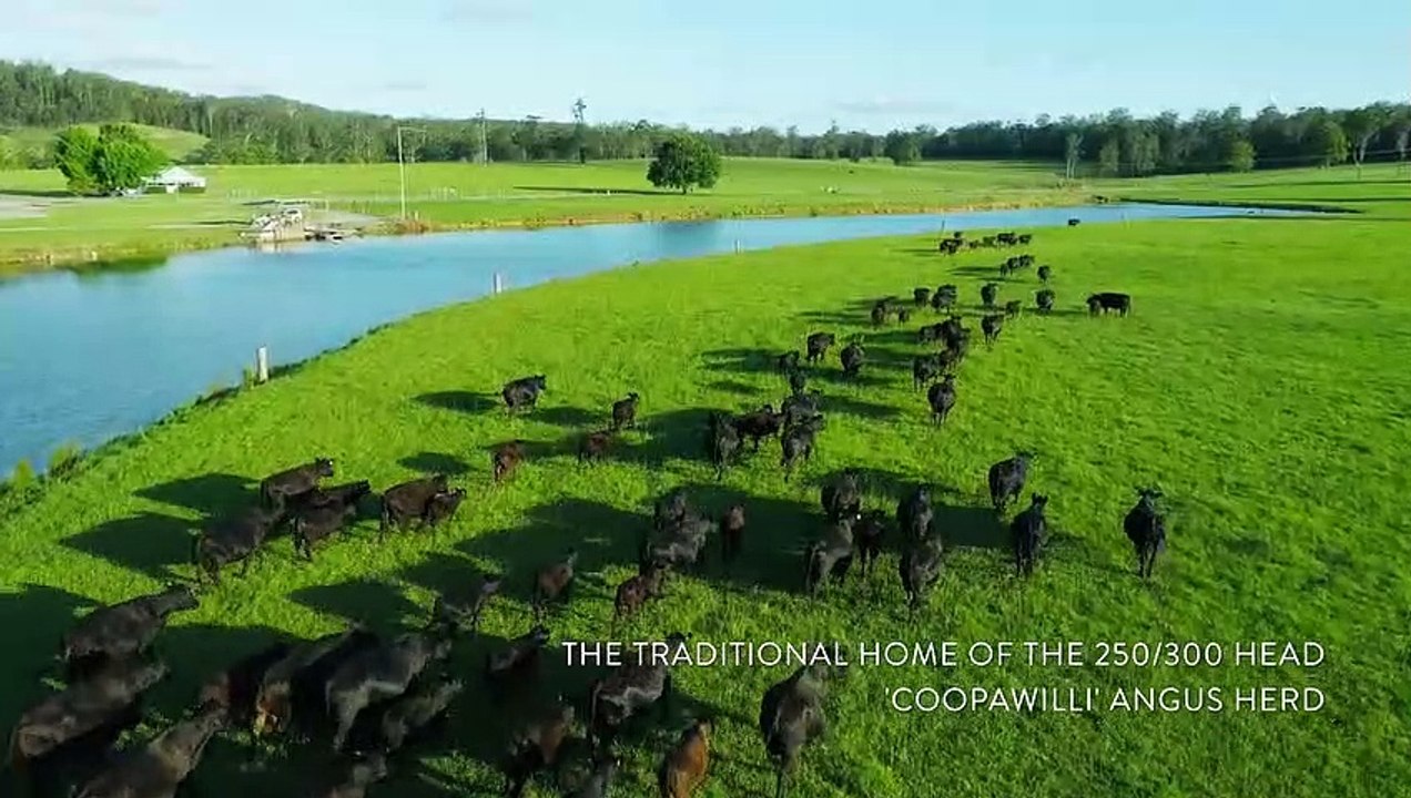 Coopawilli, Coffs Coast, NSW - January 25, 2023 - Farmonline