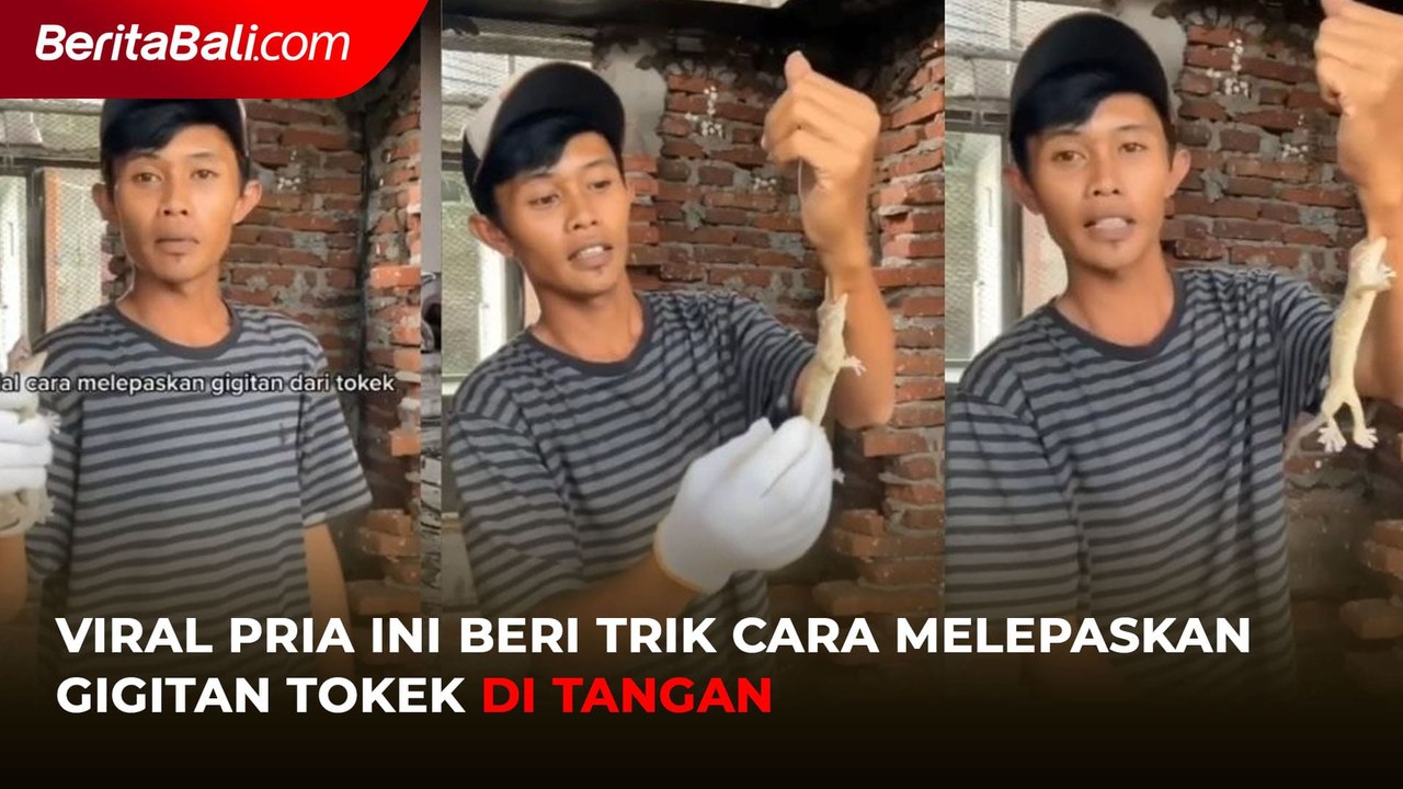 Viral Pria Ini Beri Trik Cara Melepaskan Gigitan Tokek di Tangan