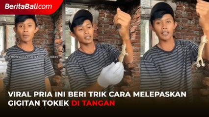 Viral Pria Ini Beri Trik Cara Melepaskan Gigitan Tokek di Tangan