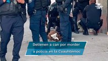 Llegan doce policías para detener a… un perro; lo querían presentar ante el MP