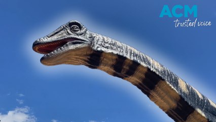Aussie dinosaur arrives in Canberra in time for Australia Day