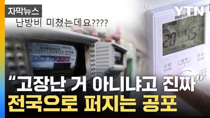 [자막뉴스] "너무 무서워요"...이 집도 저 집도 '기겁' / YTN