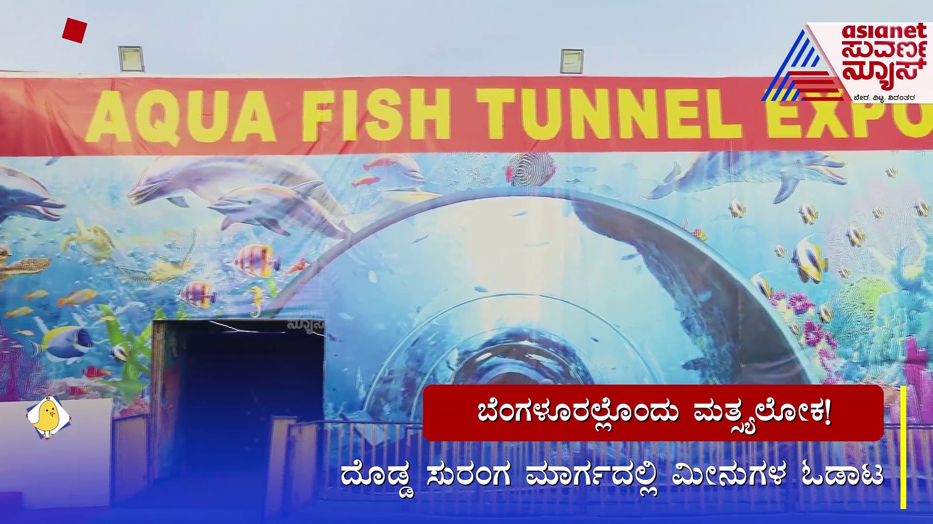 ಬೆಂಗಳೂರಿನಲ್ಲೊಂದು ಅದ್ಭುತ ಮತ್ಸ್ಯಲೋಕ, ದುಬೈ, ಸಿಂಗಾಪುರ ಮಾದರಿಯ ಫಿಶ್ ಟನಲ್ ಅಕ್ವೇರಿಯಂ