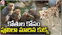 Man Paints Dog Look Like Tiger | Jayashankar Bhupalpally | V6 News