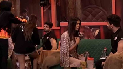 Bigg Boss 16 ; Priyanka Shiv के बीच हो रही थी सुलह कि तभी Nimirt, Shalin, की कैसी हरकत? |FilmiBeat