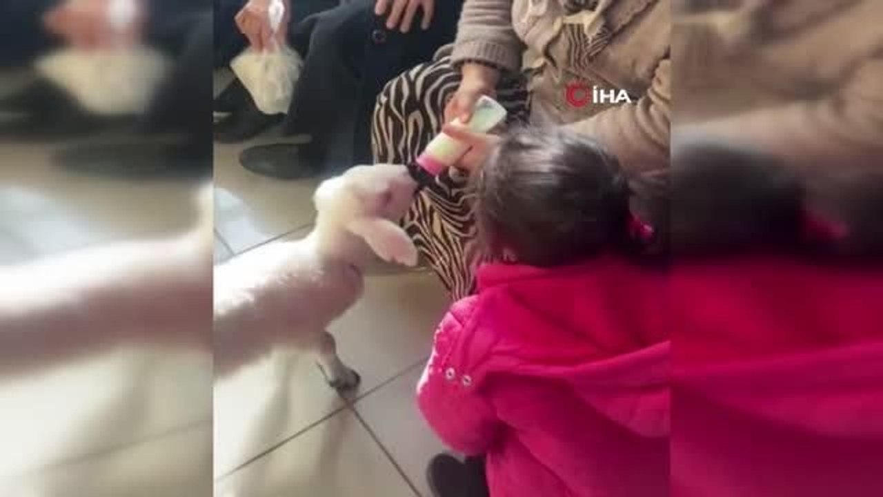 Kuzusu hastanede bile peşini bırakmadı