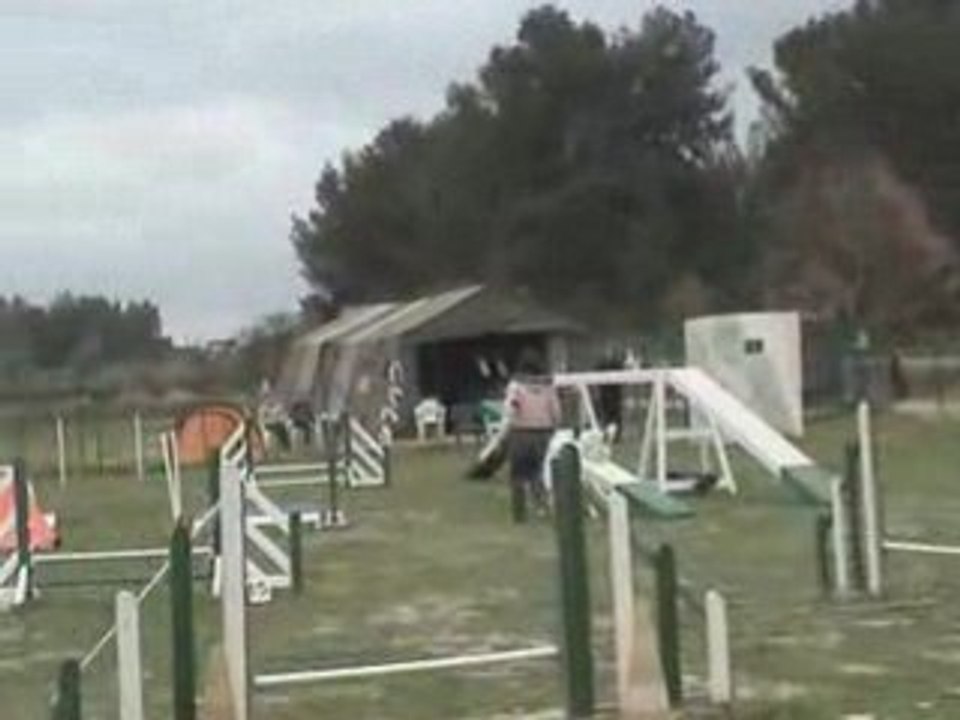 Ganou sur la balançoire