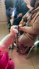 Hastaneye muayene olmaya kuzusuyla gitti