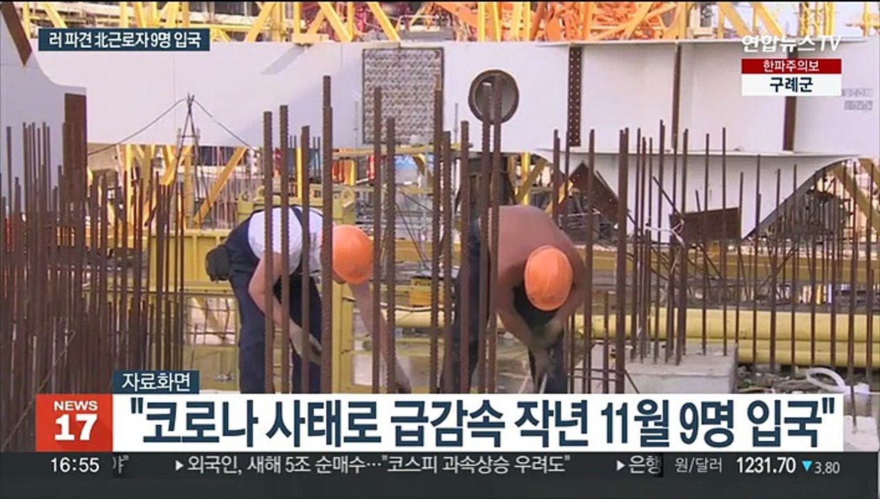 "러시아 파견 북한 노동자 9명 작년 말 동시 입국"