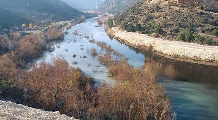 Download Video: Göksu Nehri yine siyaha döndü