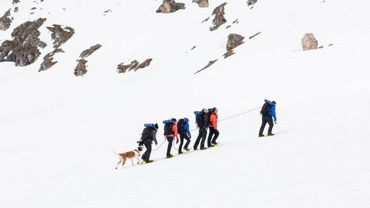 Les touristes - Mission hôtesses de l'air et stewards