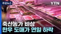 도매가 하락해도 한우 가격 요지부동...축산농가 울상 / YTN