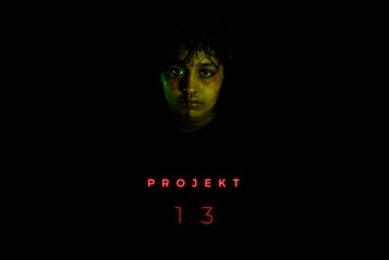 Projekt 13