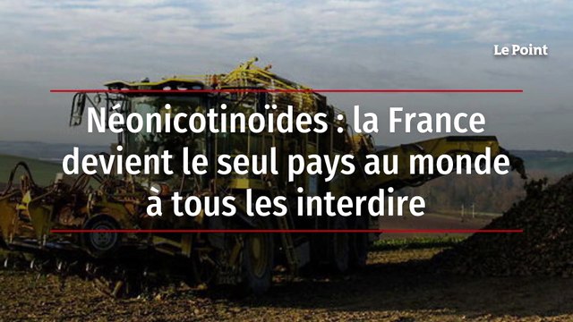 Néonicotinoïdes : la France devient le seul pays au monde à tous les interdire