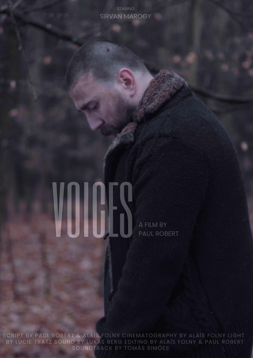 Voices