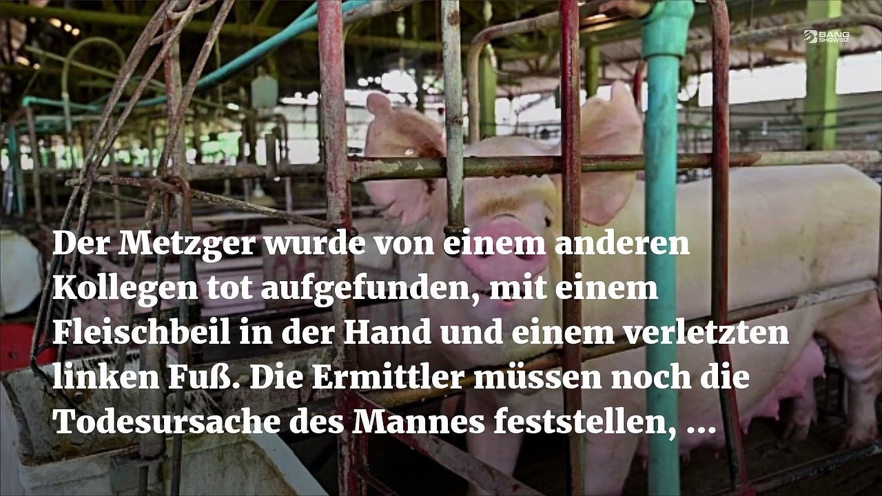 Schwein tötet Metzger