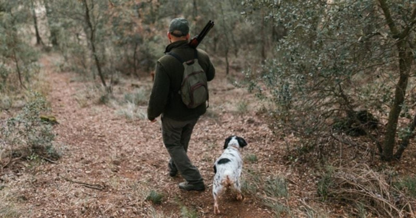 Un chasseur tué accidentellement par un... chien qui a marché sur son arme