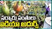 Govt Teacher Satyanarayana Cultivate Various Fruits, Vegetables At His Residence | V6 News (2)