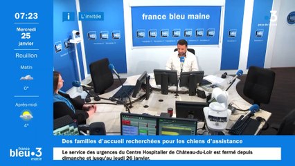 Des familles d'accueil pour les Handi'chiens