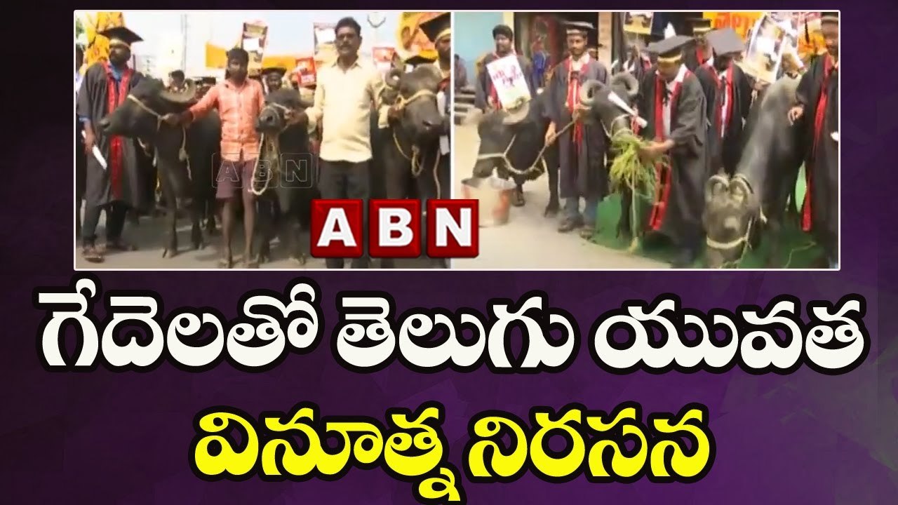 గేదెలతో తెలుగు యువత వినూత్న నిరసన || Telugu Yuvatha Protest for job calendar || ABN