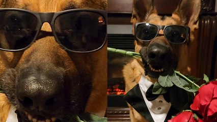 Mr. Steal Yo Girl is all set for a Ter-RUFF-ic date night