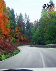 هذه هي الأسباب وراء عدم اتزان السييارة على الطريق