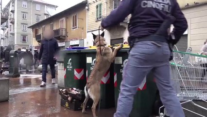 Sgominata piazza di spaccio a Torino