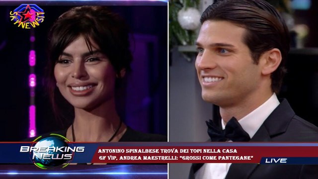 Antonino Spinalbese trova dei topi nella Casa GF Vip, Andrea Maestrelli: “Grossi come pantegane”