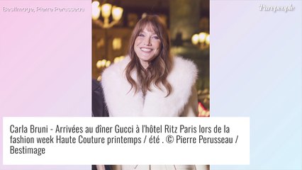 Carla Bruni : Chic et sexy en fourrure pour un dîner de luxe, devant Lou Doillon et Lena Situations accordées