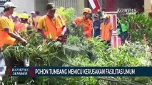 Tim Gerpas Pangkas 778 Pohon Rawan Tumbangdi Kota Jember