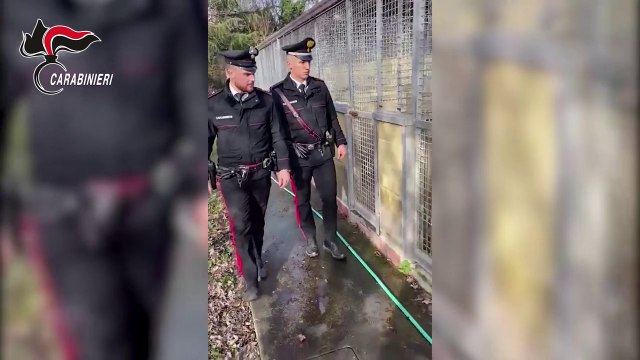 Sequestro in un canile del milanese in cattive condizioni igieniche