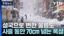 '70cm 폭설' 설국으로 변한 울릉도...뱃길 끊기고, 도로 통제 / YTN