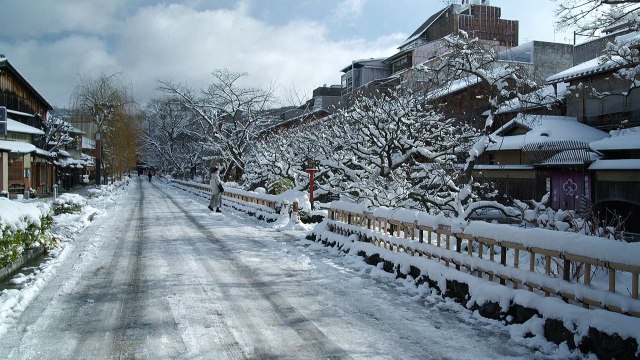 Kyoto blanketed in snow as big freeze hits Japan