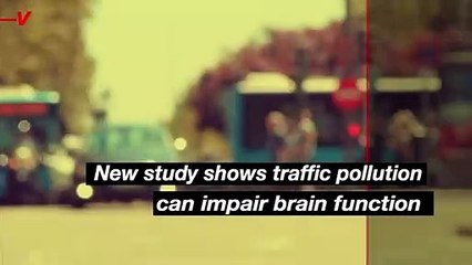 New Study Shows Traffic Pollution Can Impair Brain Function