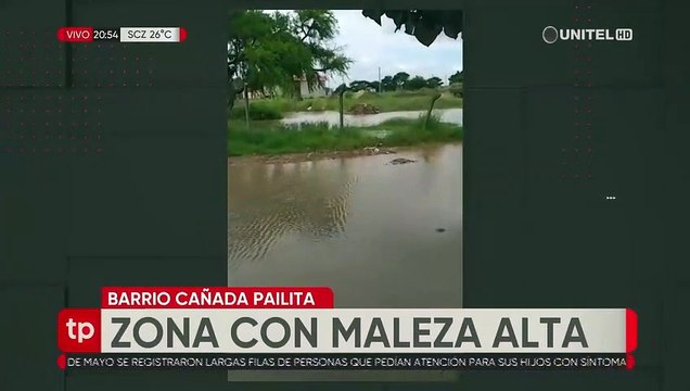 Agua estancada y maleza en varios barrios se convierte en foco de propagación de mosquitos