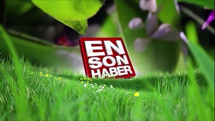 Merdiven tırabzanından kayarak eğlenen kedi