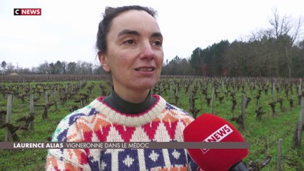 Sexisme : des métiers réservés aux hommes ?