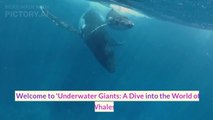 Underwater Giants: A Dive into the World of Whales | Giants of the planet