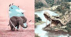 Cet artiste réinvente le monde animal avec ses créations amusantes et réussies