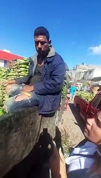 Pro Consumidor: Comienzan a estabilizarse precios del plátano y otros productos agrícolas