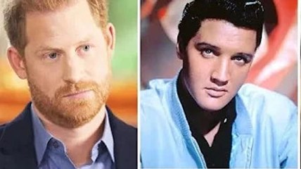 Harry a qualifié Graceland de "sombre et claustrophobe" et a déclaré que le créateur était "sous aci