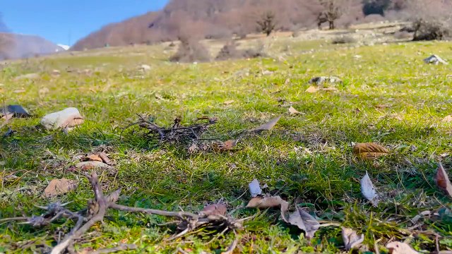 ROAST JIZ-BYZ! DELICIOUS TRADITIONAL AZERBAIJANI DISH