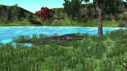 crocodile bedtime | urdu story | urdu kahani | short stories in urdu | taqwakidiary