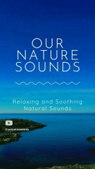 Welcome to Our Nature Sounds - relaxing and soothing natural voices #shorts #ytshorts #intro