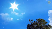 If_You_See_the_Sky_Turning_Green,_Find_Shelter_Fast