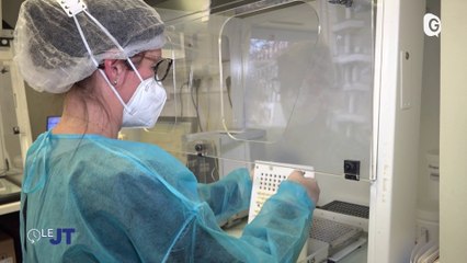 Le JT - 25/01/23 - Pharmacie, Chatipi, Belle étoile